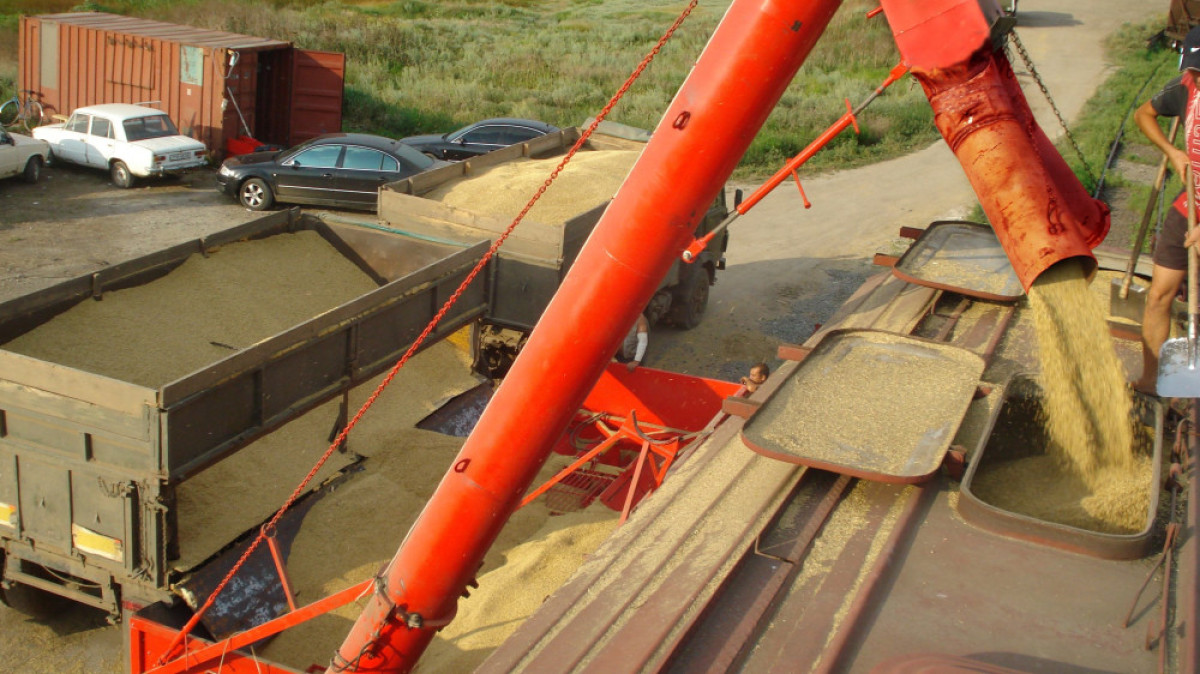  Казах-Зерно