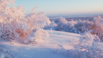 Фотография к новости: Усиление ветра и мороз обещают синоптики в ряде регионов Казахстана 