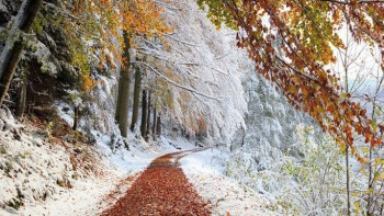 Фотография к новости: Осадки и гололед прогнозируют синоптики 16 октября