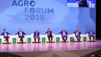 Фотография к новости: Глава государства поздравил работников сельского хозяйства