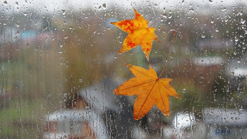 Фотография к новости: Дожди сохранятся на северо-западе и востоке республики четвертого сентября 