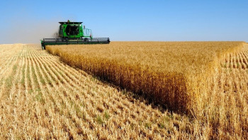 Фотография к новости: Сельское хозяйство рассматривается как новый драйвер экономики Казахстана – Сагинтаев