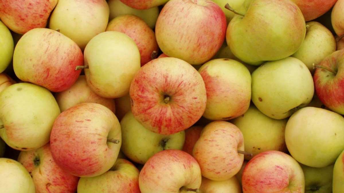  Из открытых источников