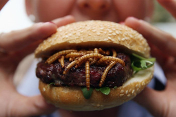 Фотография к новости: На насекомых в еде пожаловались алматинцы