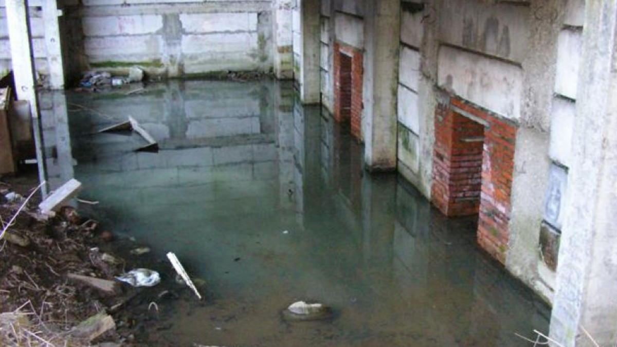   Из открытых источников