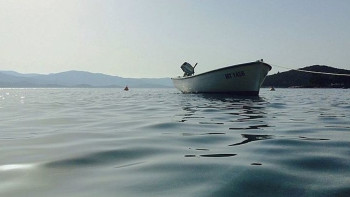 Фотография к новости: ЧП на Иртыше: девочка выпала из лодки и лишилась кисти 