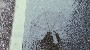 Фотография к новости: Дождь со снегом ожидается на севере Казахстана 1 сентября