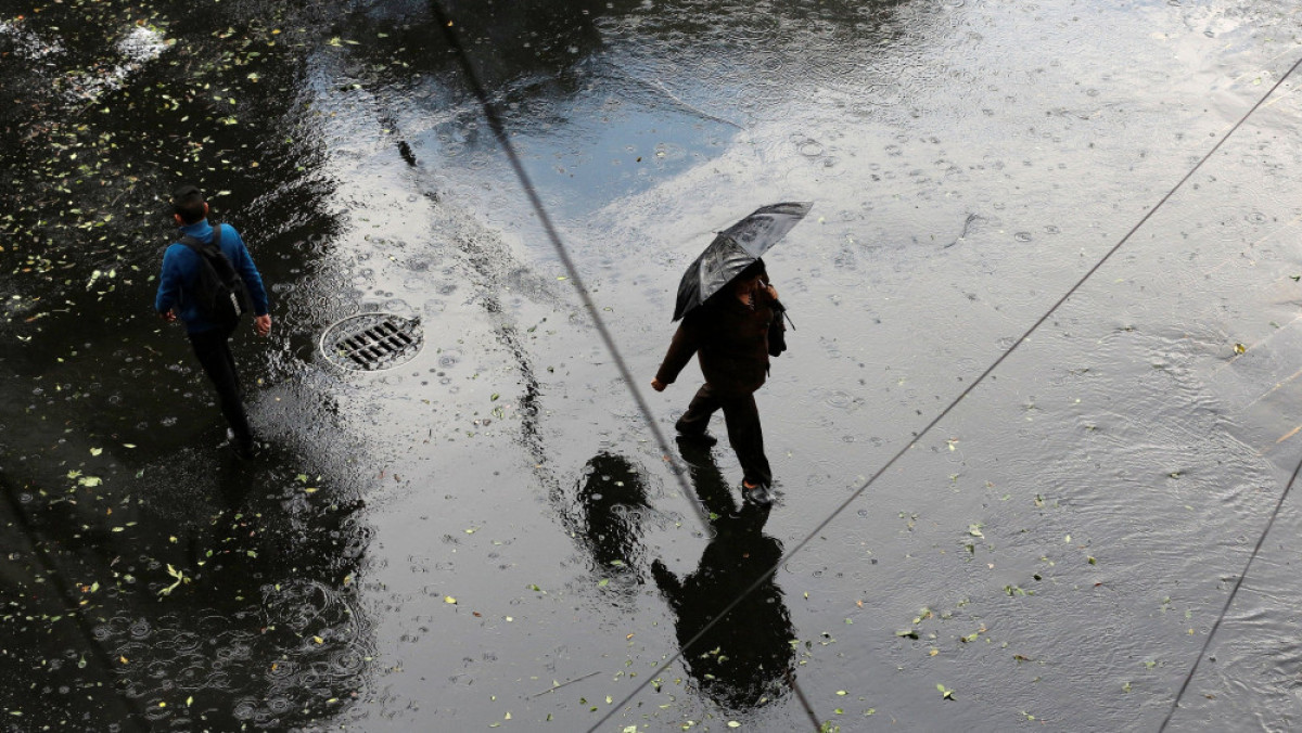  Из открытых источников 