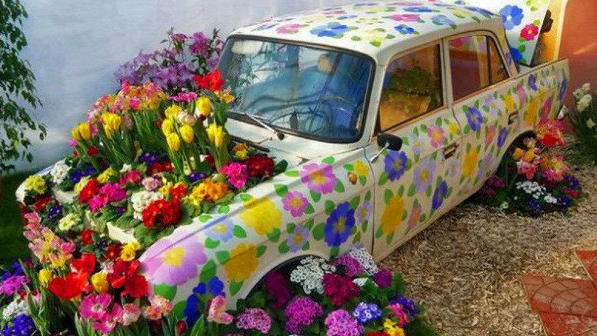  Иллюстративное фото 