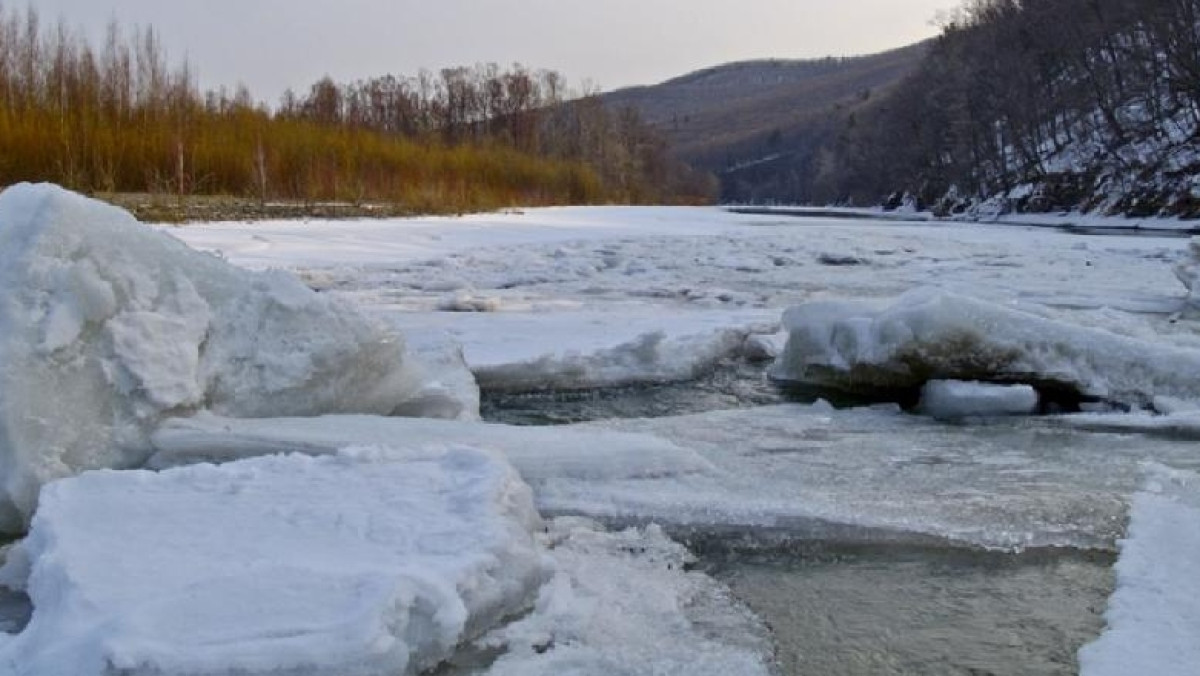  Из открытых источников