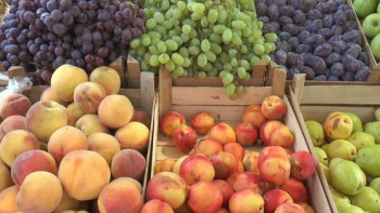 Фотография к новости: Россельхознадзор не пропустил более 20 тонн фруктов из Казахстана