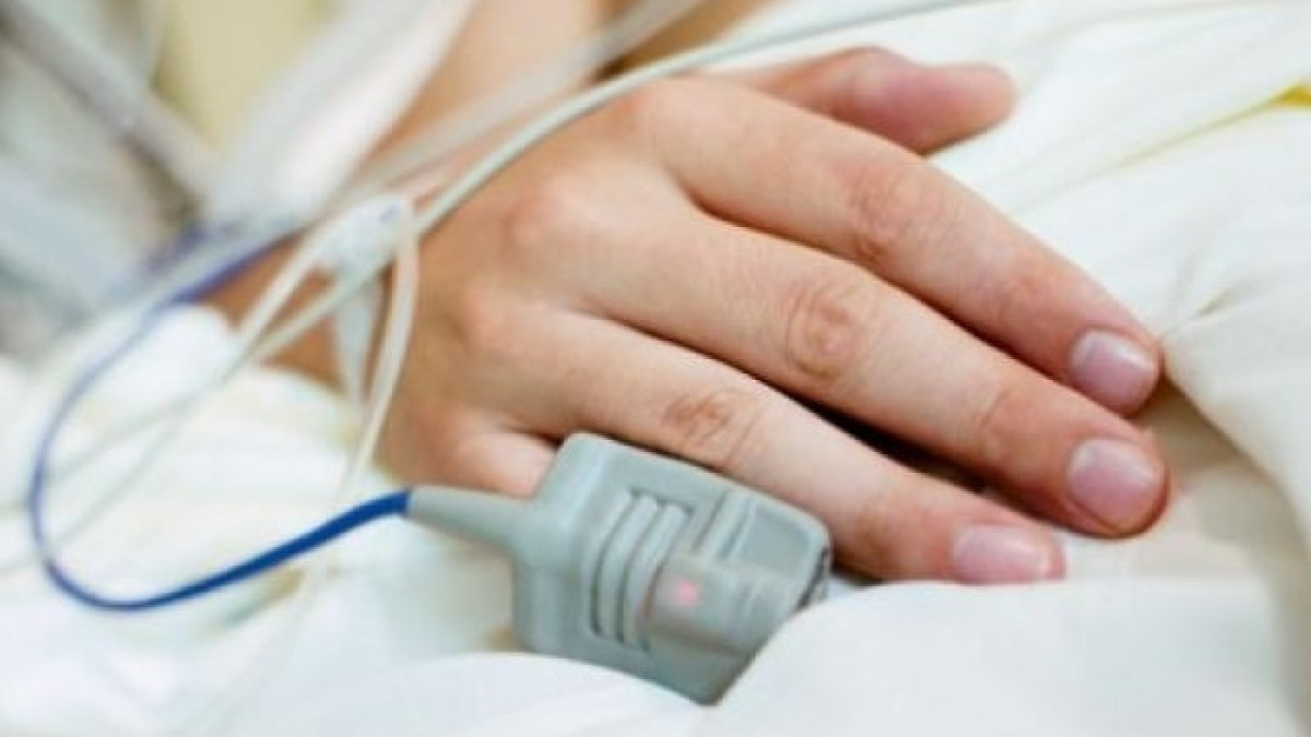  Иллюстративное 