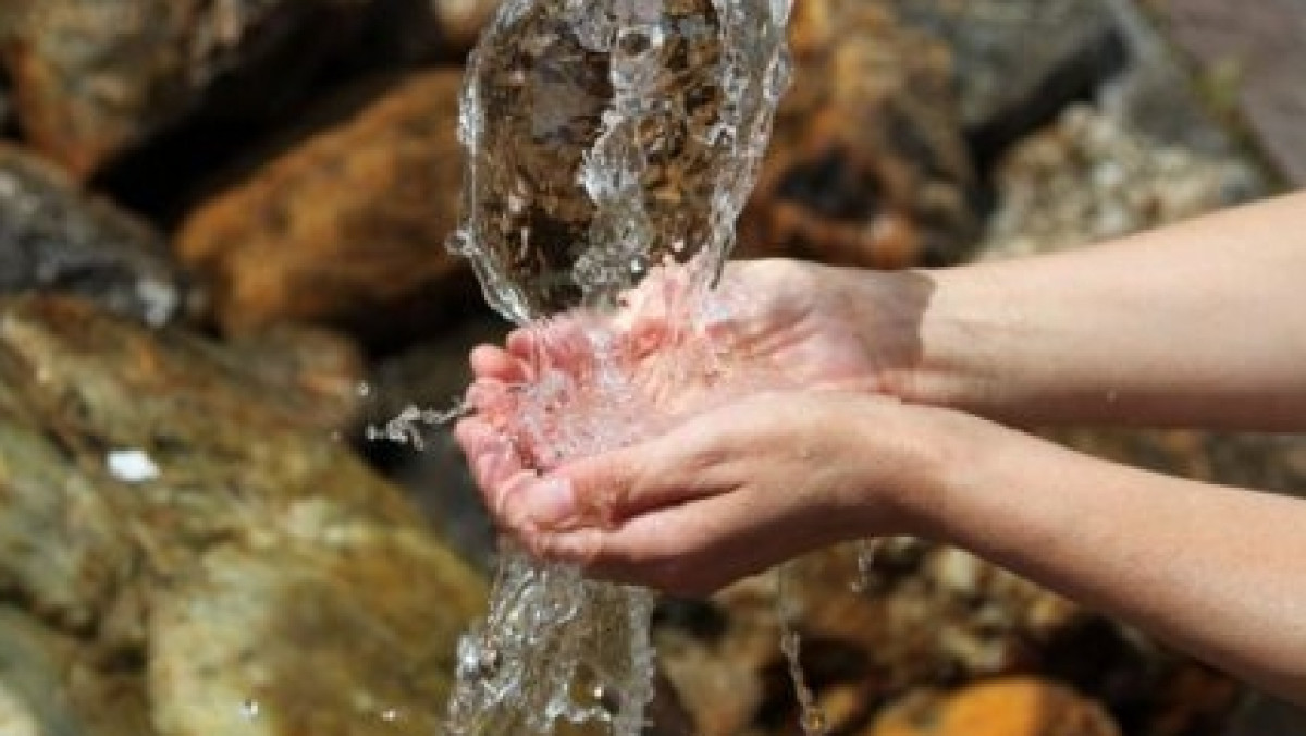  Из открытых источников 