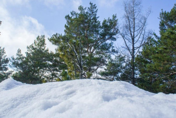 Фотография к новости: Погода без осадков сохранится на большей части территории Казахстана в четверг