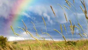 Фотография к новости: Погода без осадков ожидает жителей запада и юга страны 24 августа 