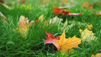 Фотография к новости: Погода без осадков сохранится на большей части страны 13 сентября 