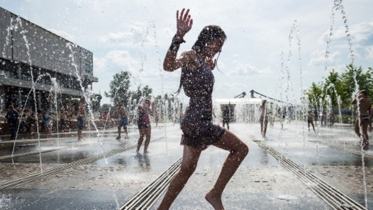  Из открытого источника 