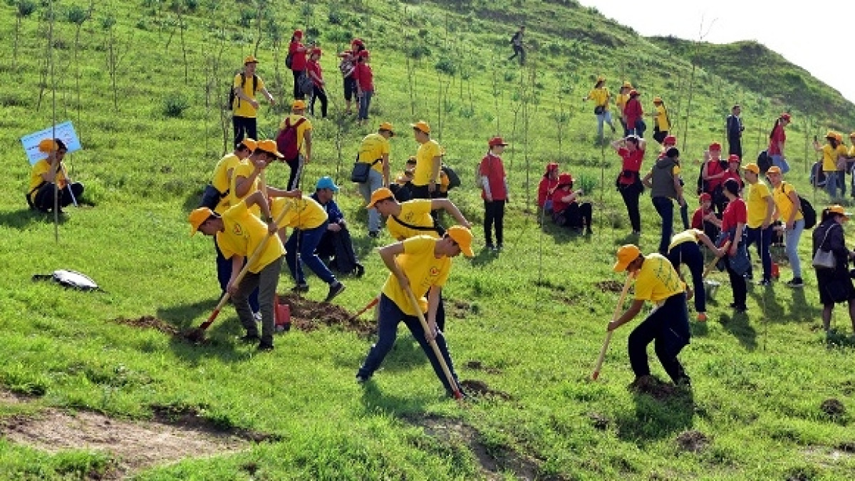  Пресс-служба акима ЮКО