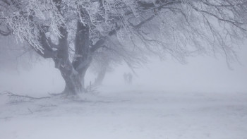 Фотография к новости: Штормовое предупреждение объявлено на западе и севере Казахстана