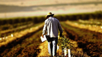 Фотография к новости: Обращение по ситуации с дизтопливом сделали фермеры Казахстана