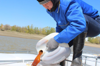 Фотография к новости: Более двадцати тонн биологического препарата вылили в Иртыш 