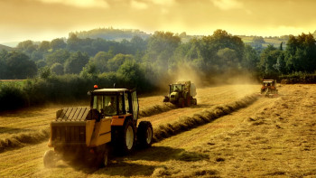 Фотография к новости: Ряд показателей по сельскому хозяйству пошёл на спад - Шукеев 
