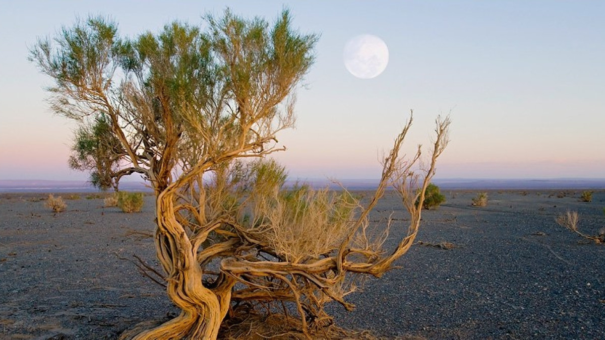  открытые источники