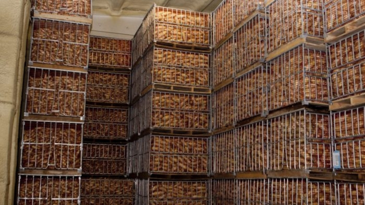  Из открытых источников 