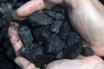 Фотография к новости: В отношении 13 поставщиков угля в ЮКО начато расследование