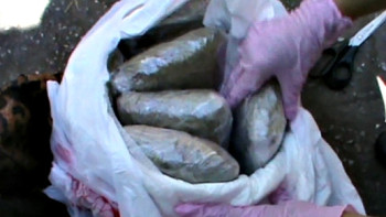 Фотография к новости: В упаковках от лаврового листа нашли 5 кг героина в Петропавловске