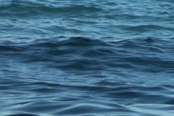 Фотография к новости: Труп подростка в реке нашли сельчане в Атырауской области