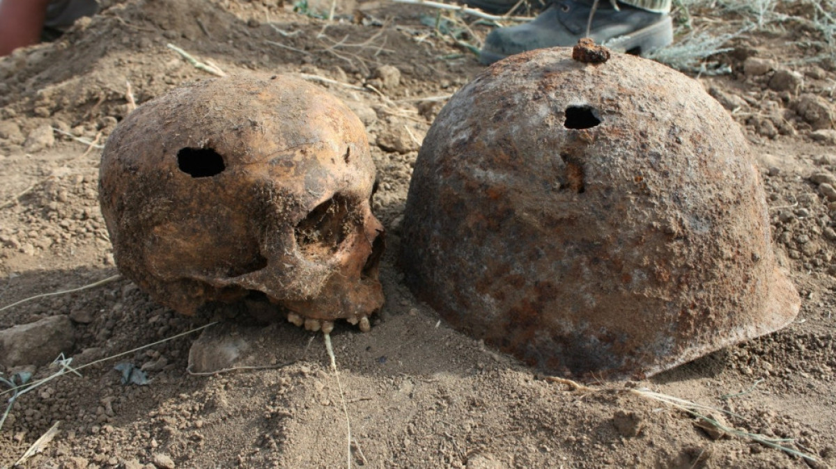  иллюстративное фото