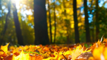 Фотография к новости: Погода без осадков ожидается в Казахстане 26 сентября 