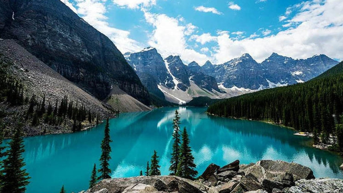  Из открытых источников 