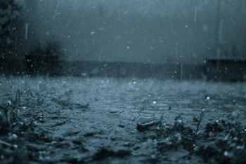 Фотография к новости: Осадки прогнозируют почти по всему Казахстану 27 апреля 