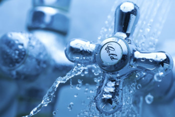 Фотография к новости: Минсельхоз и МИР разошлись в данных на 1,2 млн казахстанцев