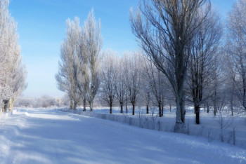 Фотография к новости: Погода без осадков ожидается на юге и севере Казахстана в пятницу
