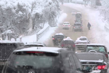 Фотография к новости: Снег в Алматы будет идти ещё четыре дня, предупредили в акимате