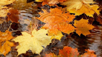 Фотография к новости: Погода без осадков ожидается на большей части Казахстана четвертого октября 