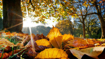 Фотография к новости: Погода без осадков ожидается на большей части Казахстана 11 октября 