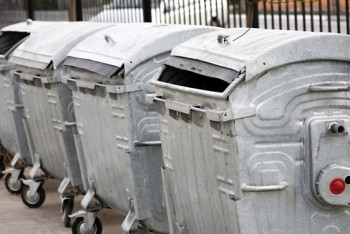 Фотография к новости: Новорождённого младенца нашли в мусорном баке в Костанае