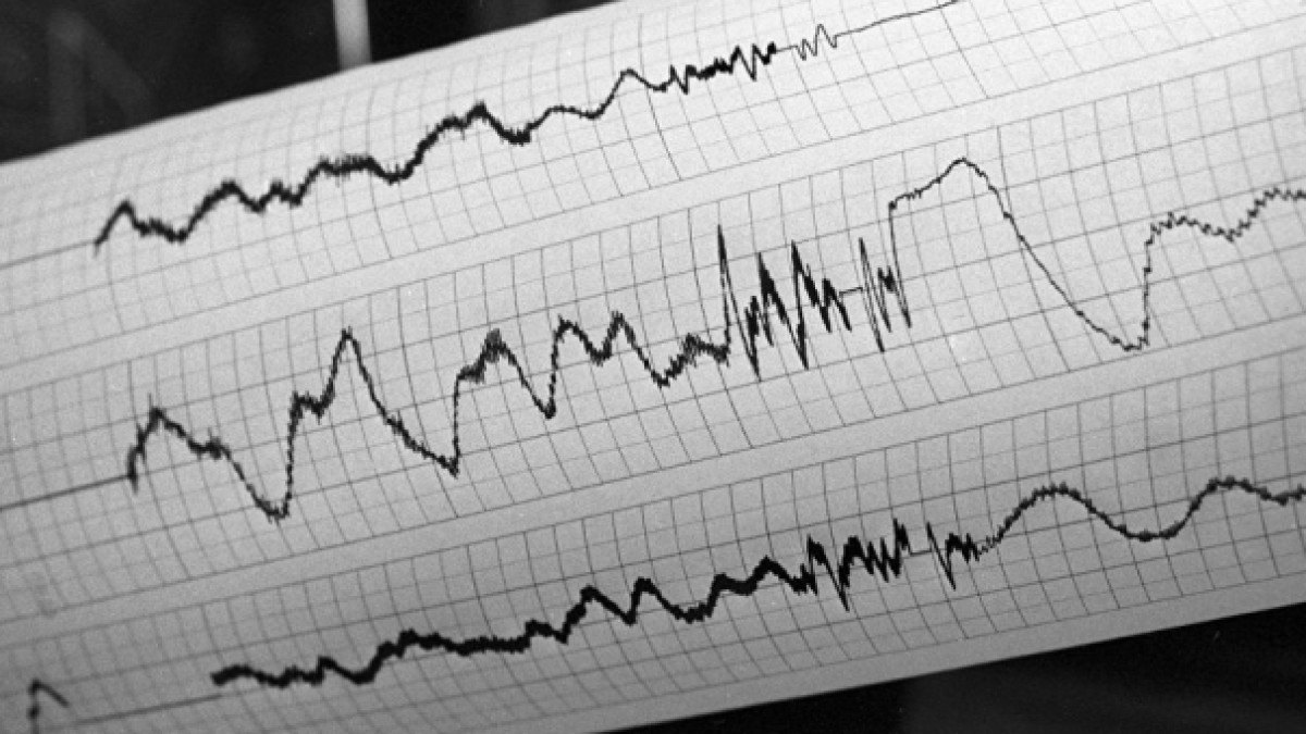  Из открытого источника 