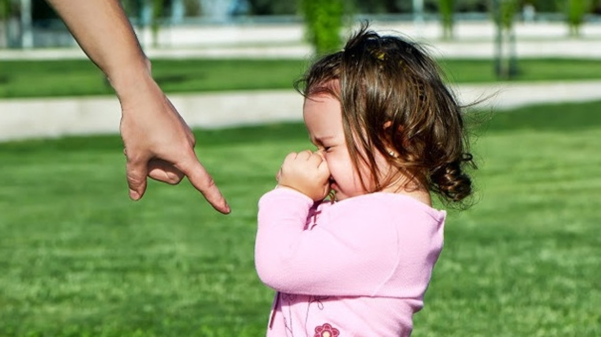  Из открытых источников 