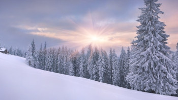 Фотография к новости: Синоптики прогнозируют снежный и теплый январь 