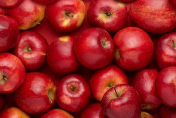 Фотография к новости: Выращивать польские яблоки начнут в Казахстане 