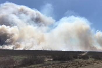 Фотография к новости: Пожар на резервате у побережья Каспия: тушение продолжается