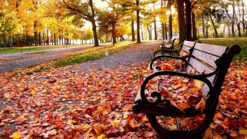 Фотография к новости: Погода без осадков ожидает казахстанцев на выходных 