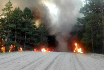 Фотография к новости: Видео лесного пожара в Семее появилось в сети