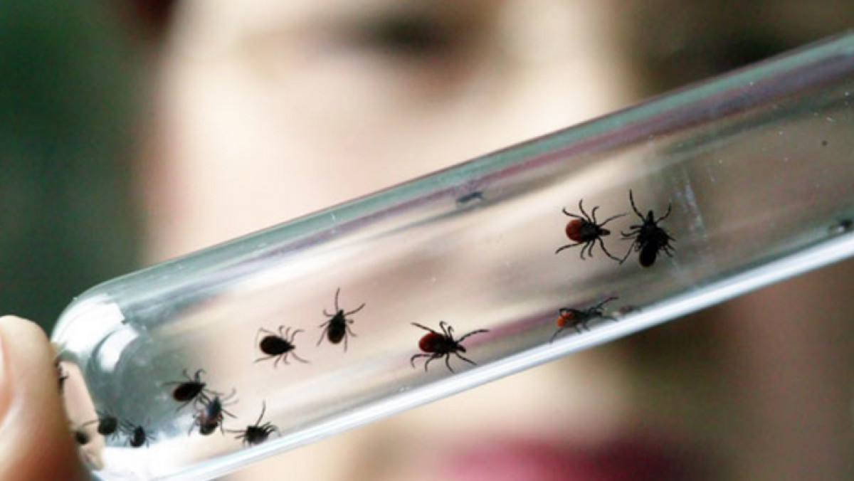  открытые источники