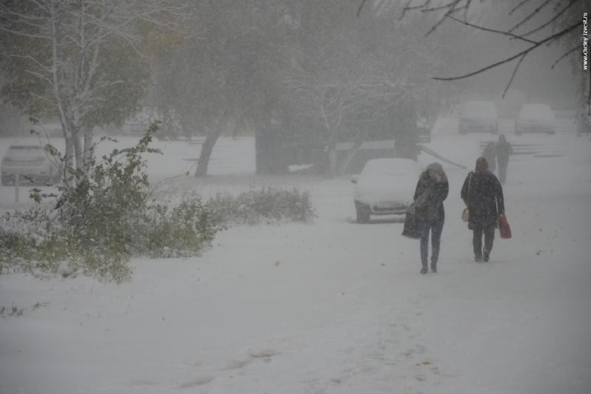  Из открытых источников 